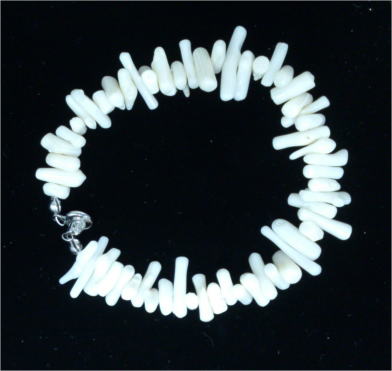 �u���X���b�g