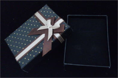 �M�t�g�p�P�[�X