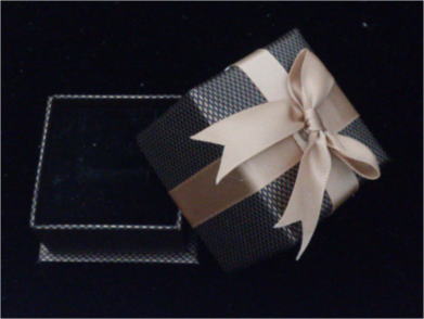 �M�t�g�p�P�[�X