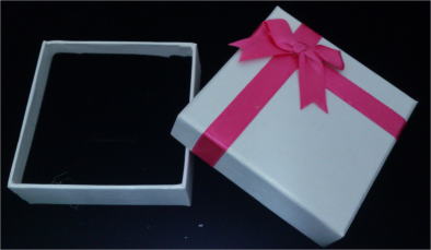 �M�t�g�p�P�[�X