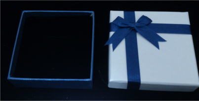 �M�t�g�p�P�[�X