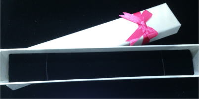 �M�t�g�p�P�[�X