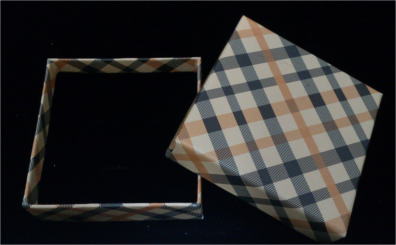 �M�t�g�p�P�[�X